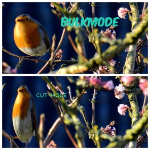 Bestand 06-09-17 12 05 57